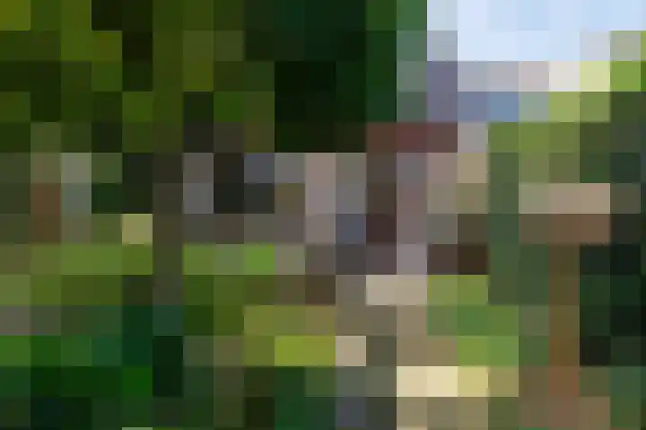 Jerfaasplantsoen 9 Bennekom thumbnail 48