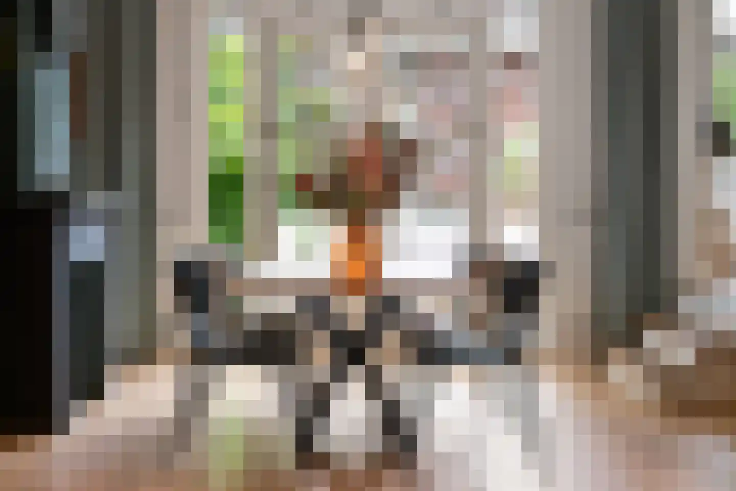 Jericholaan 105 B Rotterdam thumbnail 11