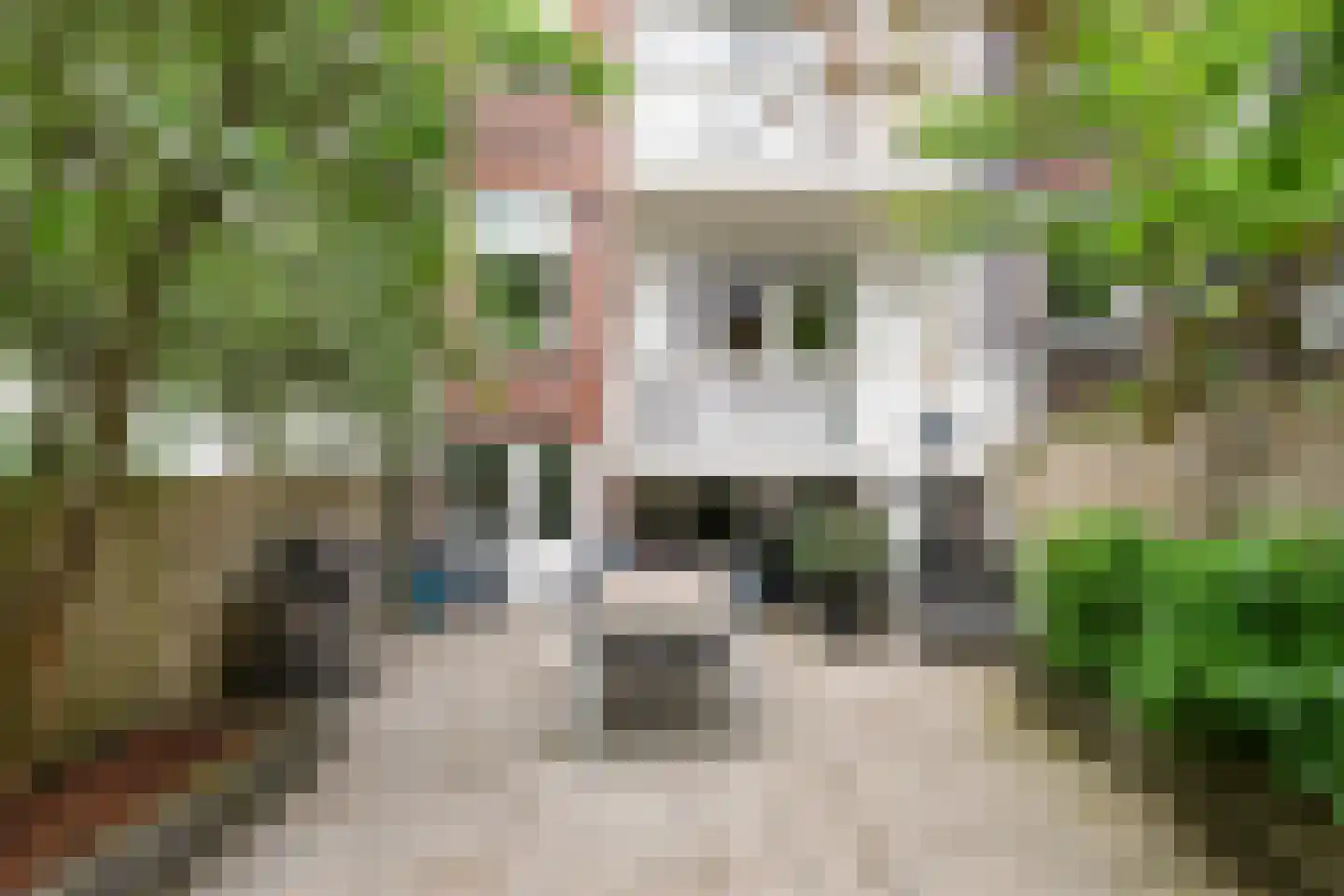 Jericholaan 105 B Rotterdam thumbnail 27