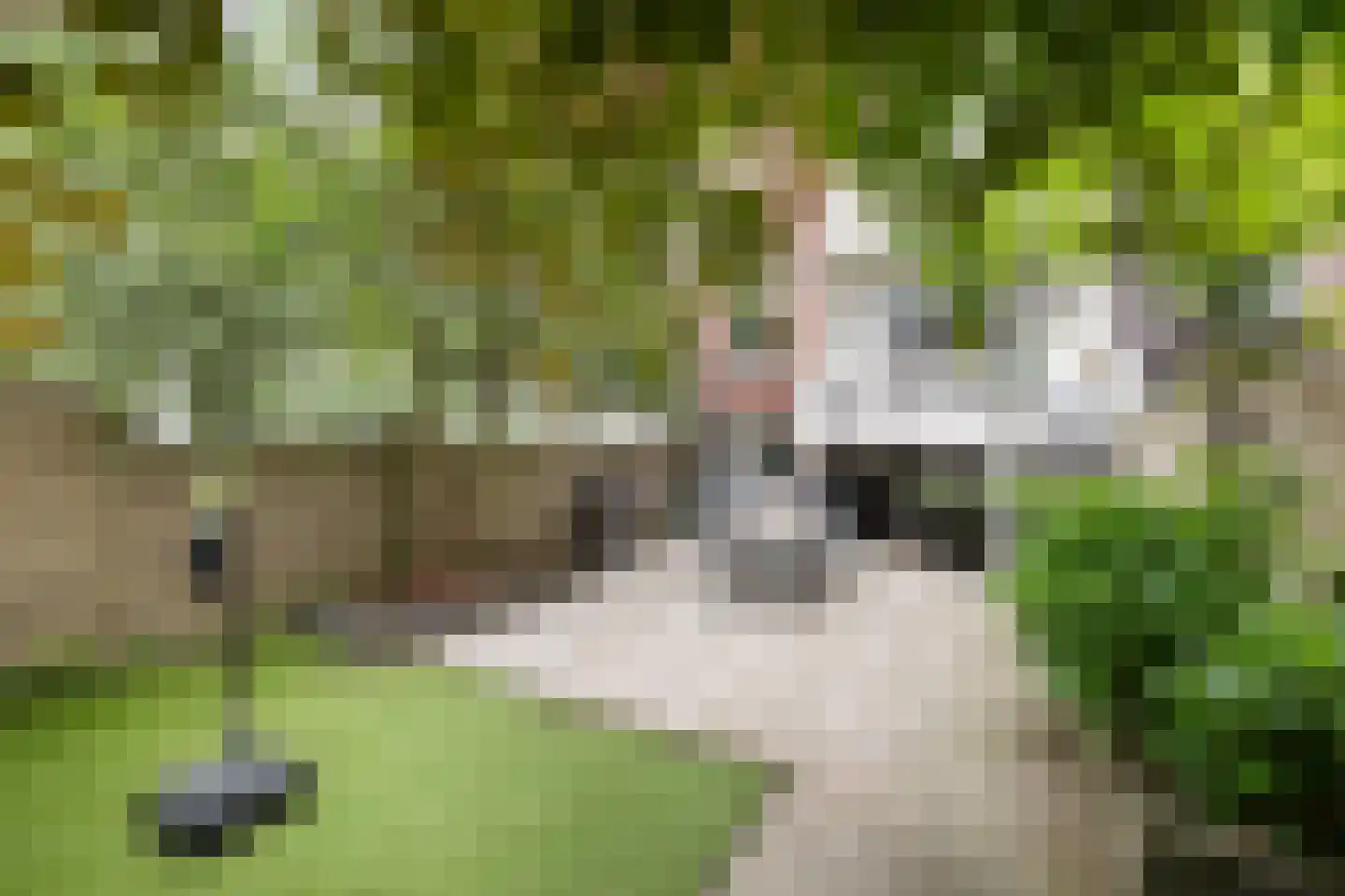 Jericholaan 105 B Rotterdam thumbnail 28