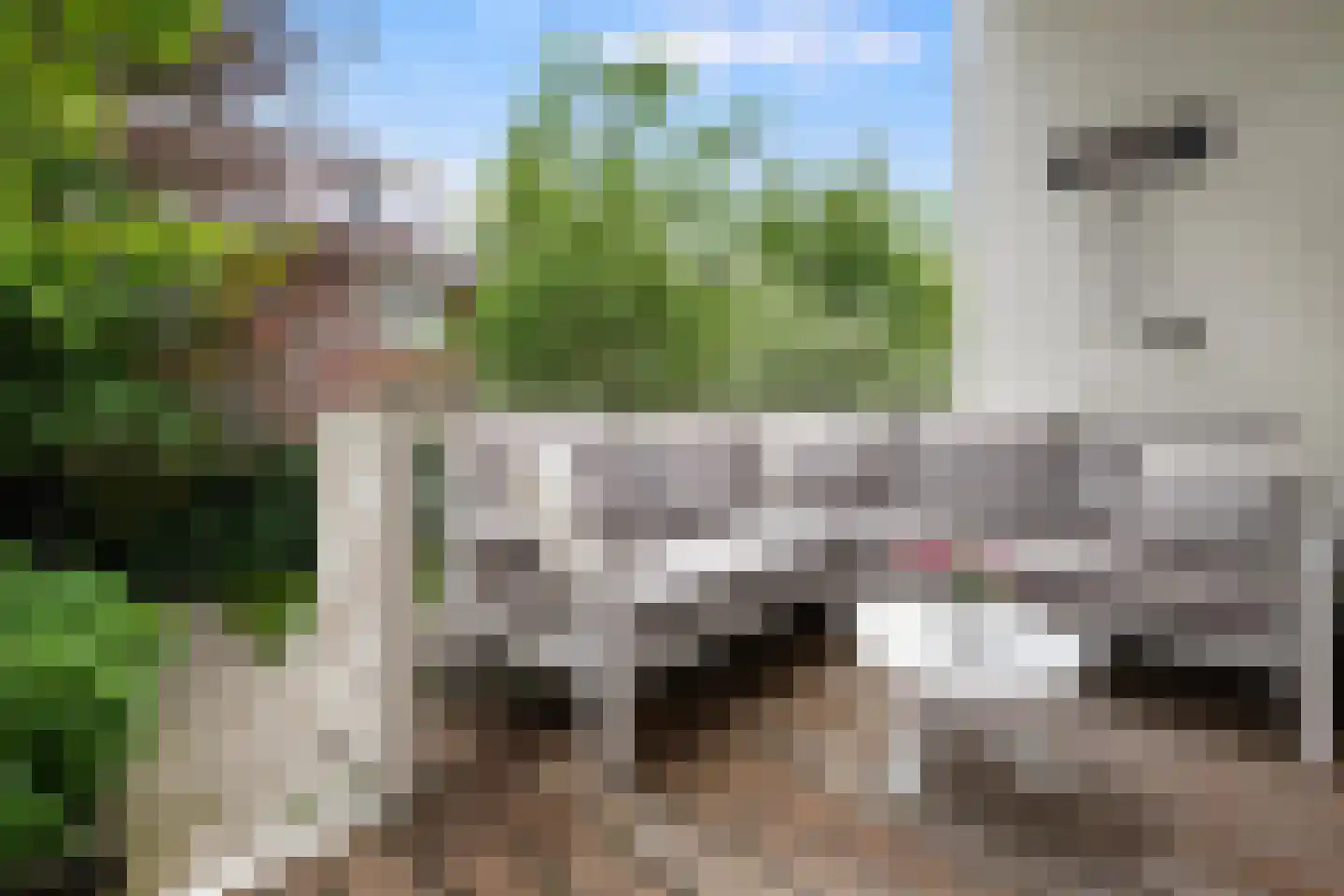 Jericholaan 105 B Rotterdam thumbnail 29