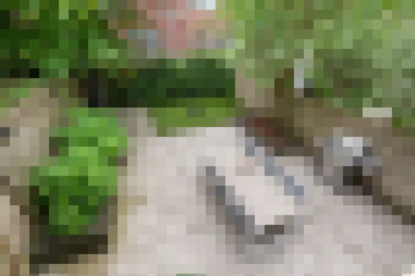 Jericholaan 105 B Rotterdam thumbnail 30