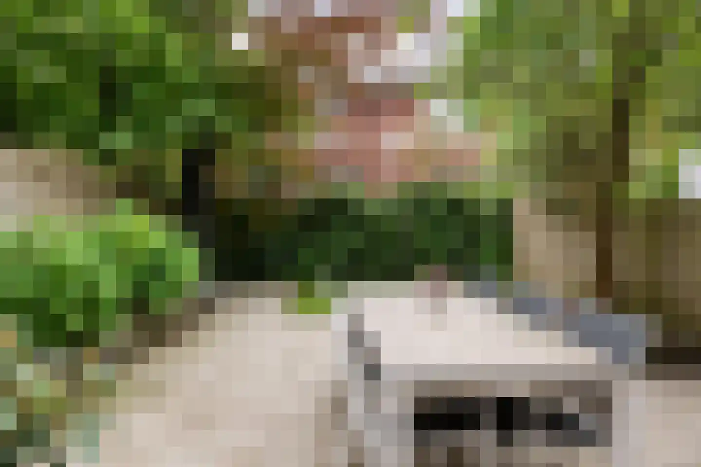 Jericholaan 105 B Rotterdam thumbnail 31