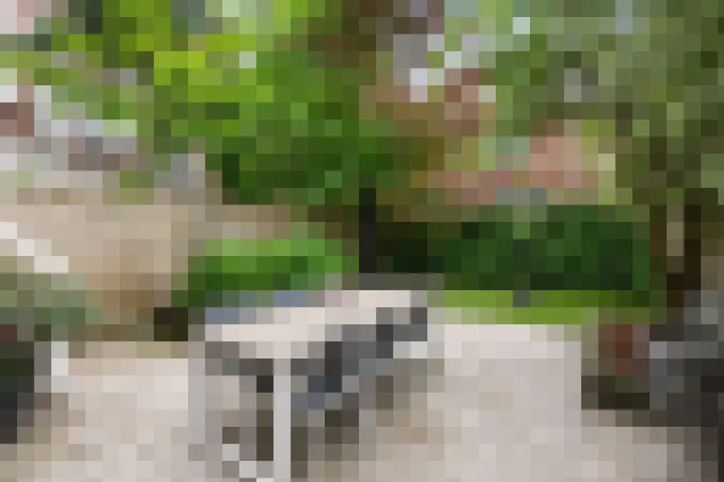 Jericholaan 105 B Rotterdam thumbnail 32