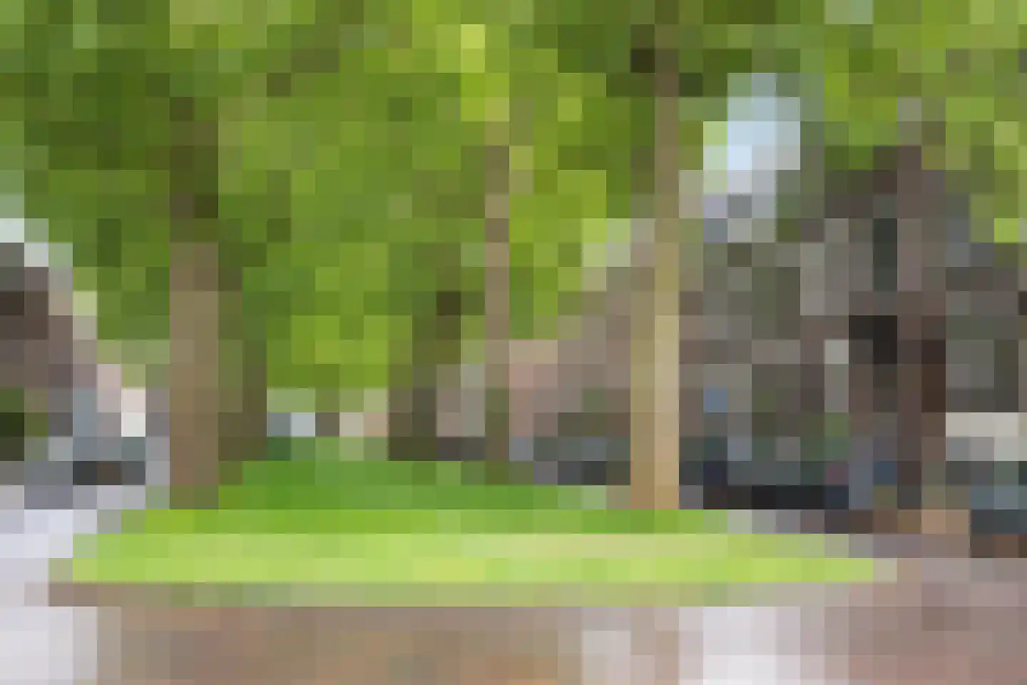 Jericholaan 105 B Rotterdam thumbnail 34