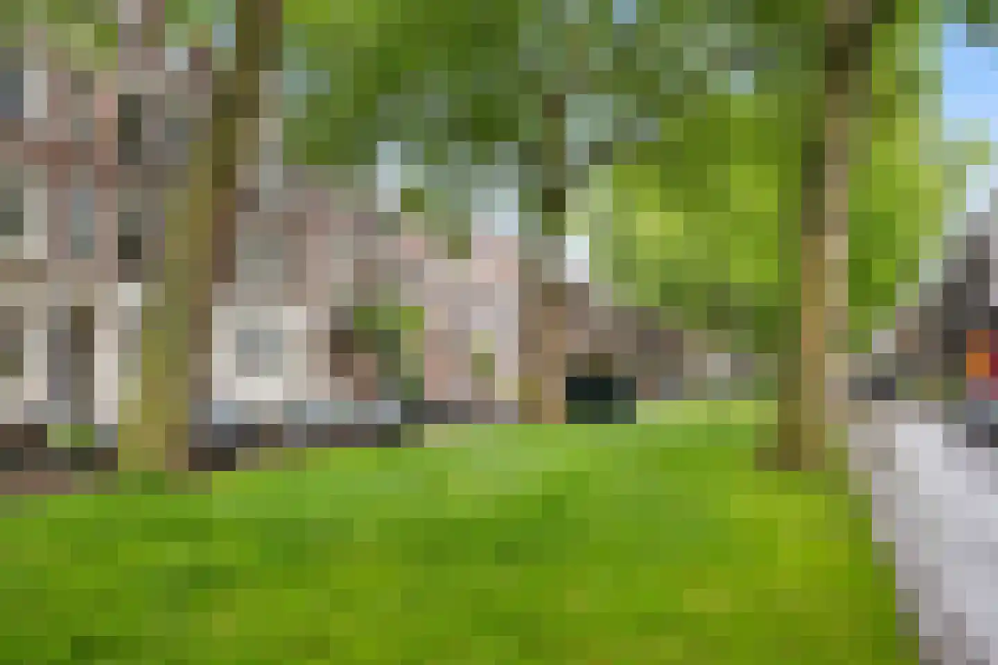 Jericholaan 105 B Rotterdam thumbnail 35