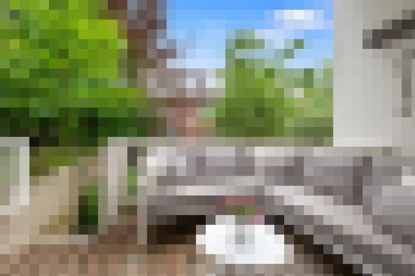 Jericholaan 105 B Rotterdam thumbnail 36
