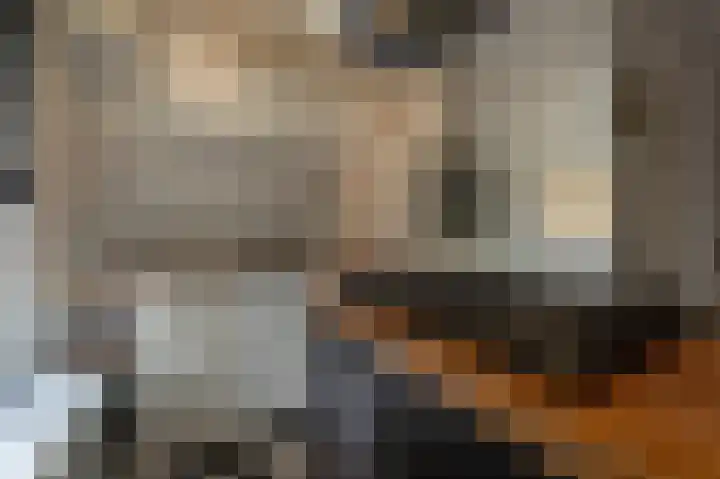 Jericholaan 111 A 02 Rotterdam thumbnail 21