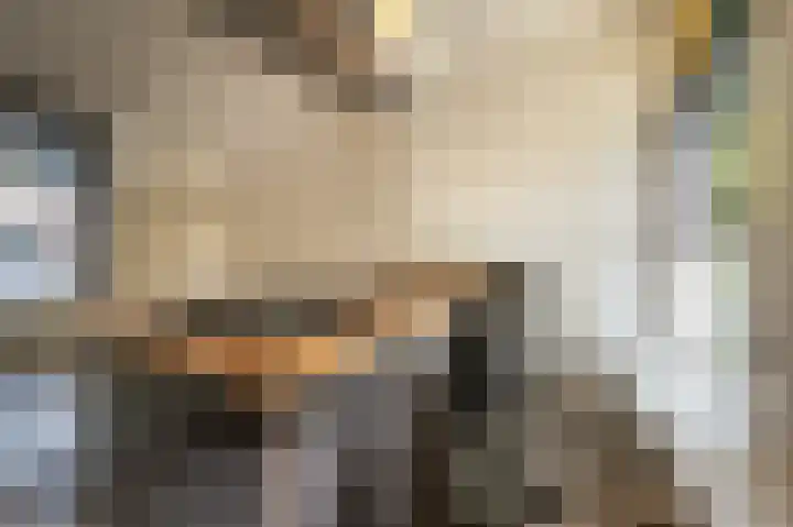 Jericholaan 111 A 02 Rotterdam thumbnail 22