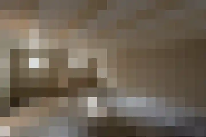 Jericholaan 111 A 02 Rotterdam thumbnail 28