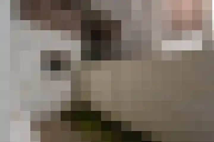 Jericholaan 111 A 02 Rotterdam thumbnail 44
