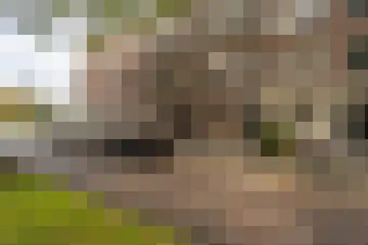 Jericholaan 111 A 02 Rotterdam thumbnail 50