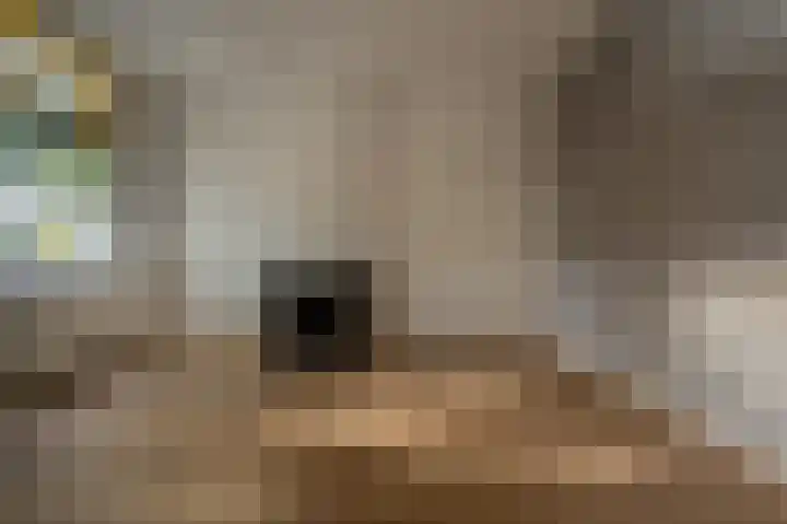 Jericholaan 111 A 02 Rotterdam thumbnail 6