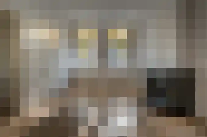 Jericholaan 111 A 02 Rotterdam thumbnail 8