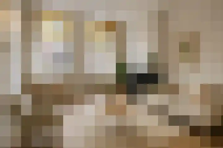 Jericholaan 111 A 02 Rotterdam thumbnail 9