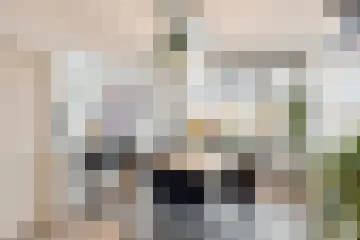 Jericholaan 29 Eindhoven thumbnail 11