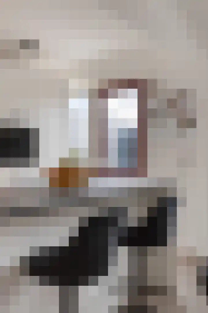 Jericholaan 29 Eindhoven thumbnail 16