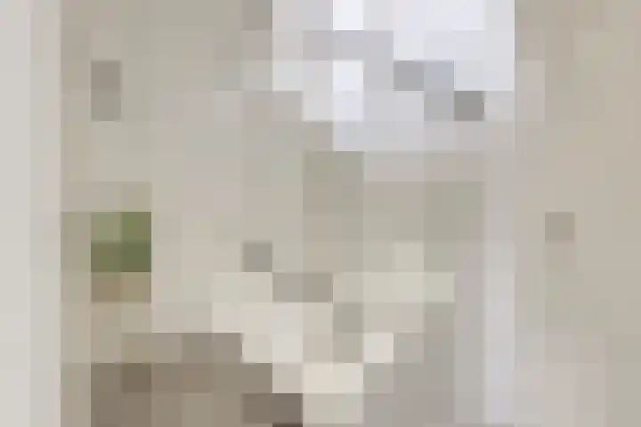 Jericholaan 29 Eindhoven thumbnail 18