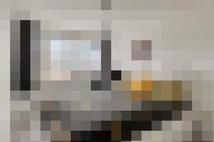 Jericholaan 29 Eindhoven thumbnail 25