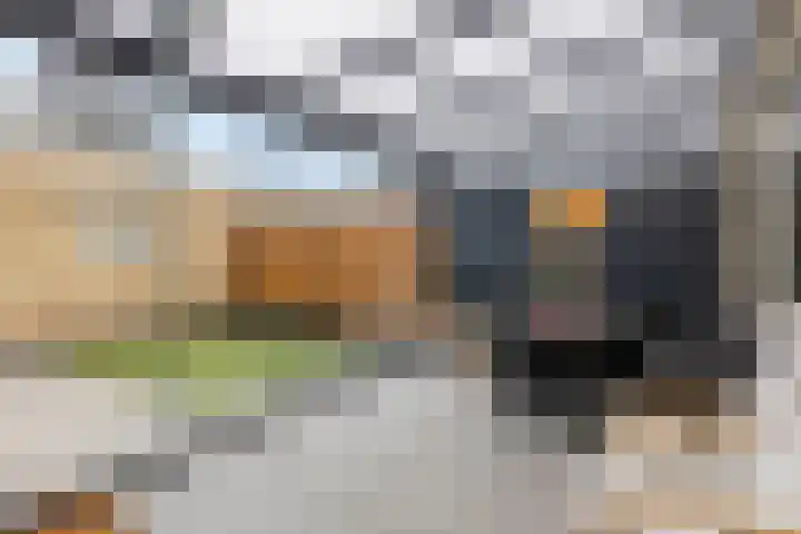 Jericholaan 29 Eindhoven thumbnail 31