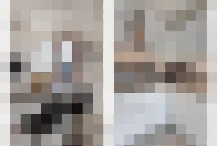Jericholaan 29 Eindhoven thumbnail 39