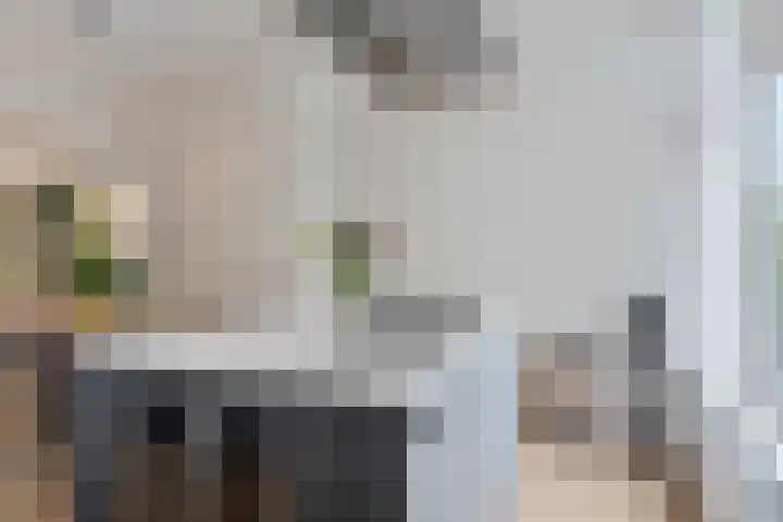 Jericholaan 3 A Rotterdam thumbnail 22