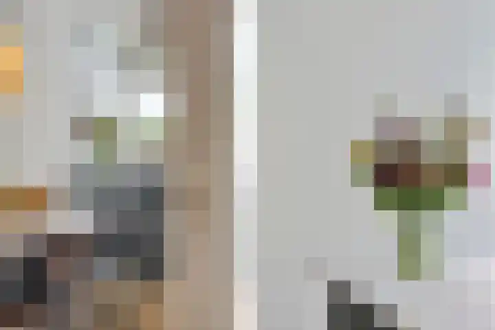 Jericholaan 3 A Rotterdam thumbnail 23