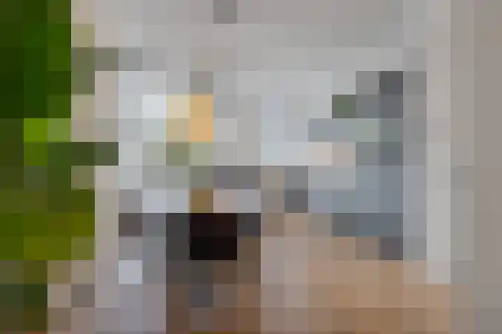 Jericholaan 3 A Rotterdam thumbnail 24