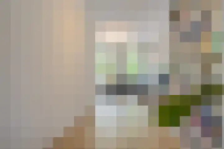 Jericholaan 3 A Rotterdam thumbnail 26