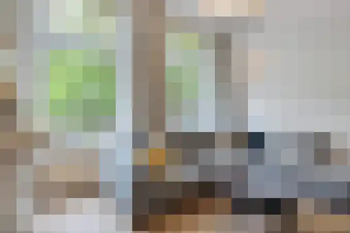Jericholaan 3 A Rotterdam thumbnail 29