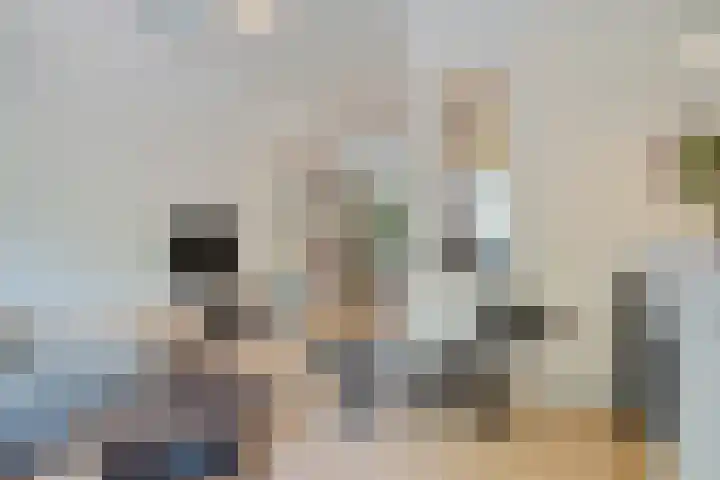 Jericholaan 3 A Rotterdam thumbnail 31