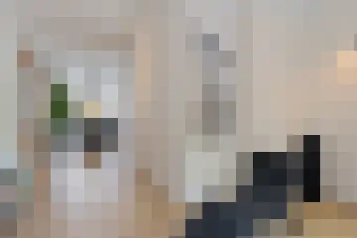 Jericholaan 3 A Rotterdam thumbnail 32