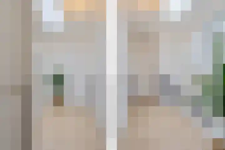 Jericholaan 3 A Rotterdam thumbnail 33