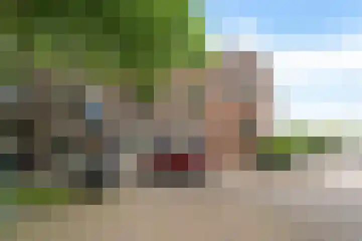 Jericholaan 3 A Rotterdam thumbnail 4