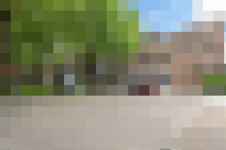 Jericholaan 3 A Rotterdam thumbnail 50
