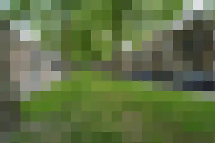 Jericholaan 3 A Rotterdam thumbnail 51