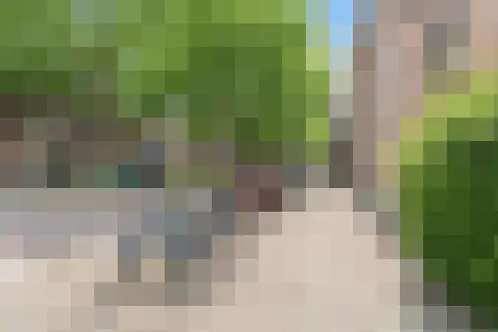 Jericholaan 3 A Rotterdam thumbnail 52
