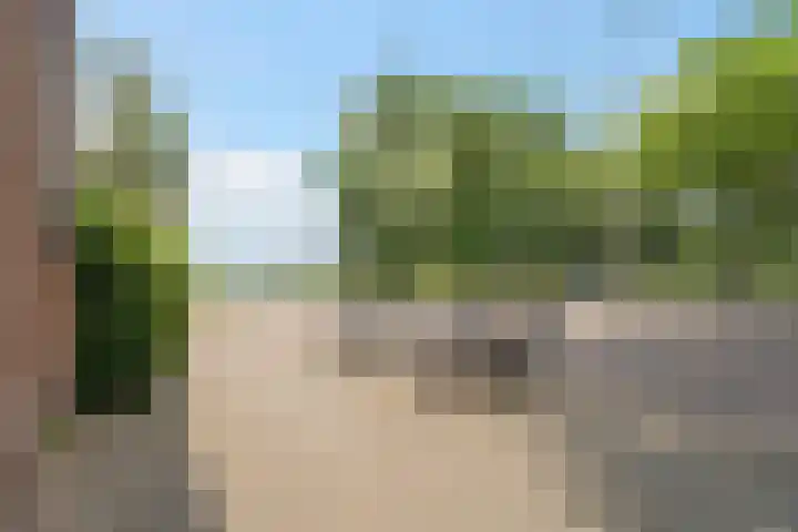 Jericholaan 3 A Rotterdam thumbnail 53