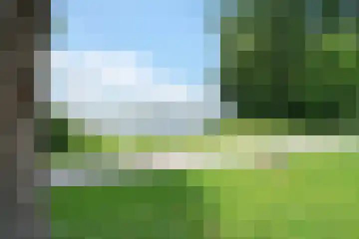Jericholaan 3 A Rotterdam thumbnail 54