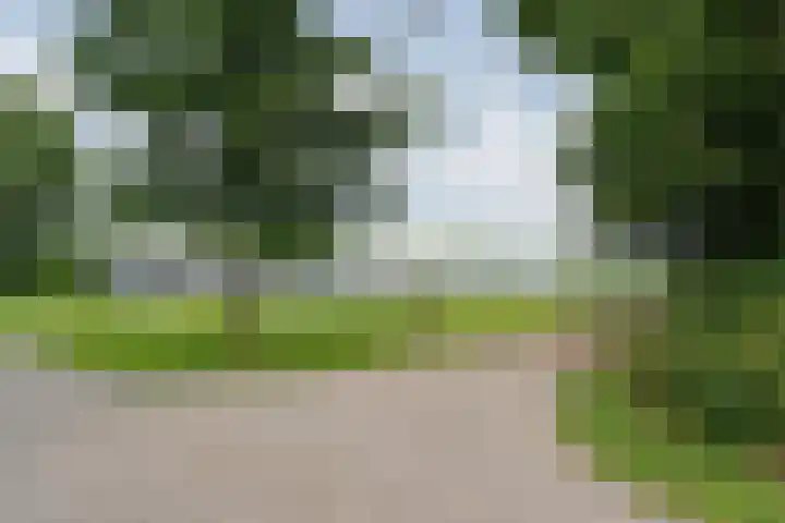 Jericholaan 3 A Rotterdam thumbnail 6