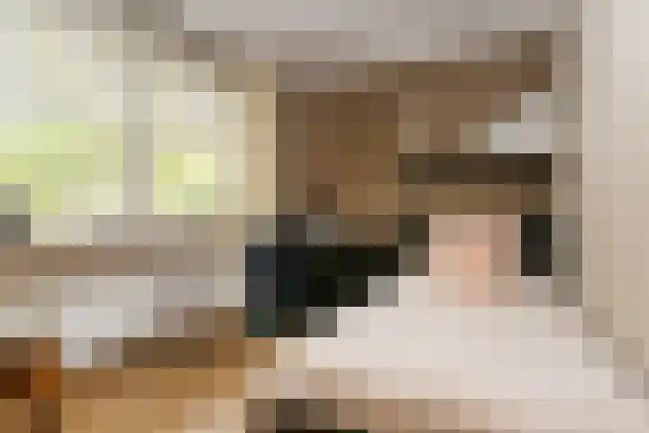 Jericholaan 3 Eindhoven thumbnail 10