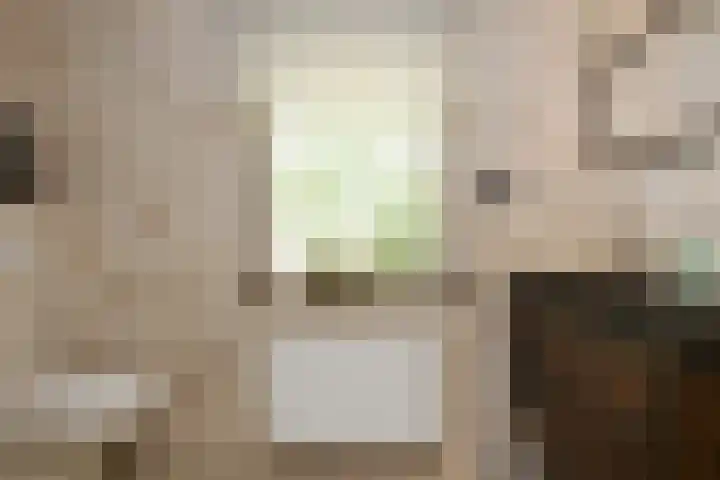 Jericholaan 3 Eindhoven thumbnail 11