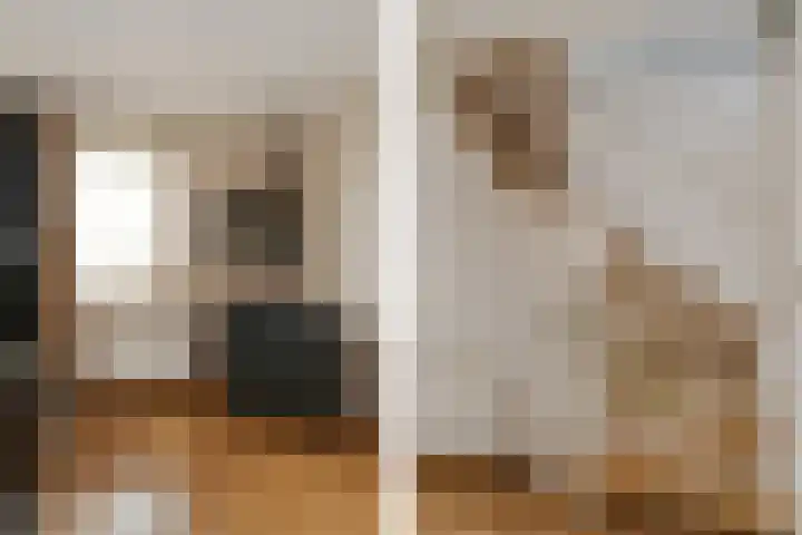 Jericholaan 3 Eindhoven thumbnail 13