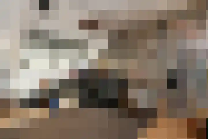 Jericholaan 3 Eindhoven thumbnail 15