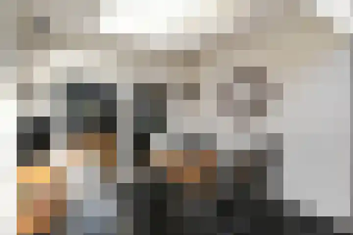 Jericholaan 3 Eindhoven thumbnail 17