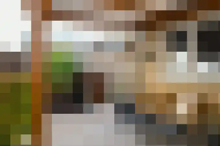 Jericholaan 3 Eindhoven thumbnail 19