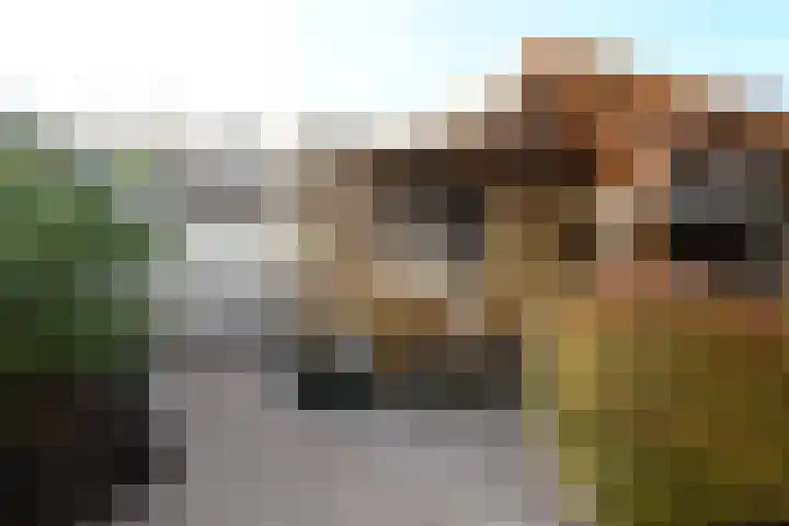 Jericholaan 3 Eindhoven thumbnail 20