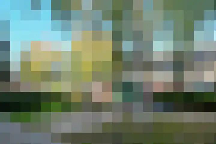 Jericholaan 3 Eindhoven thumbnail 22