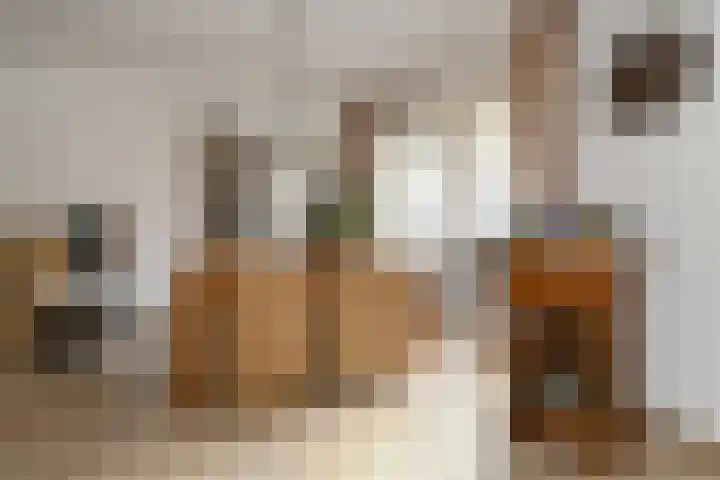Jericholaan 3 Eindhoven thumbnail 4