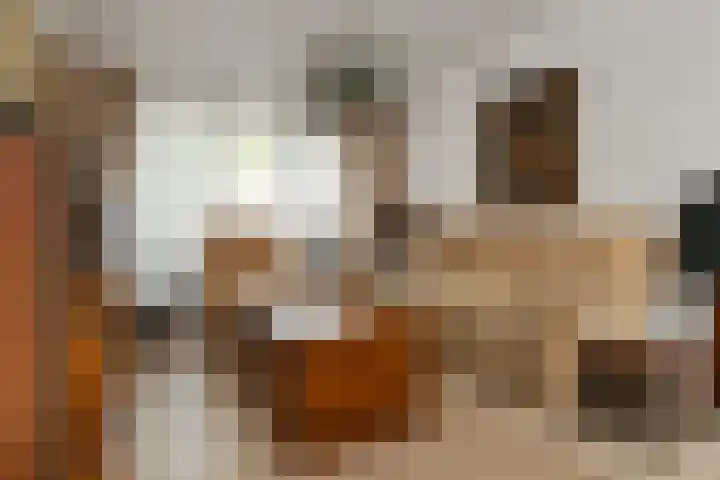 Jericholaan 3 Eindhoven thumbnail 5